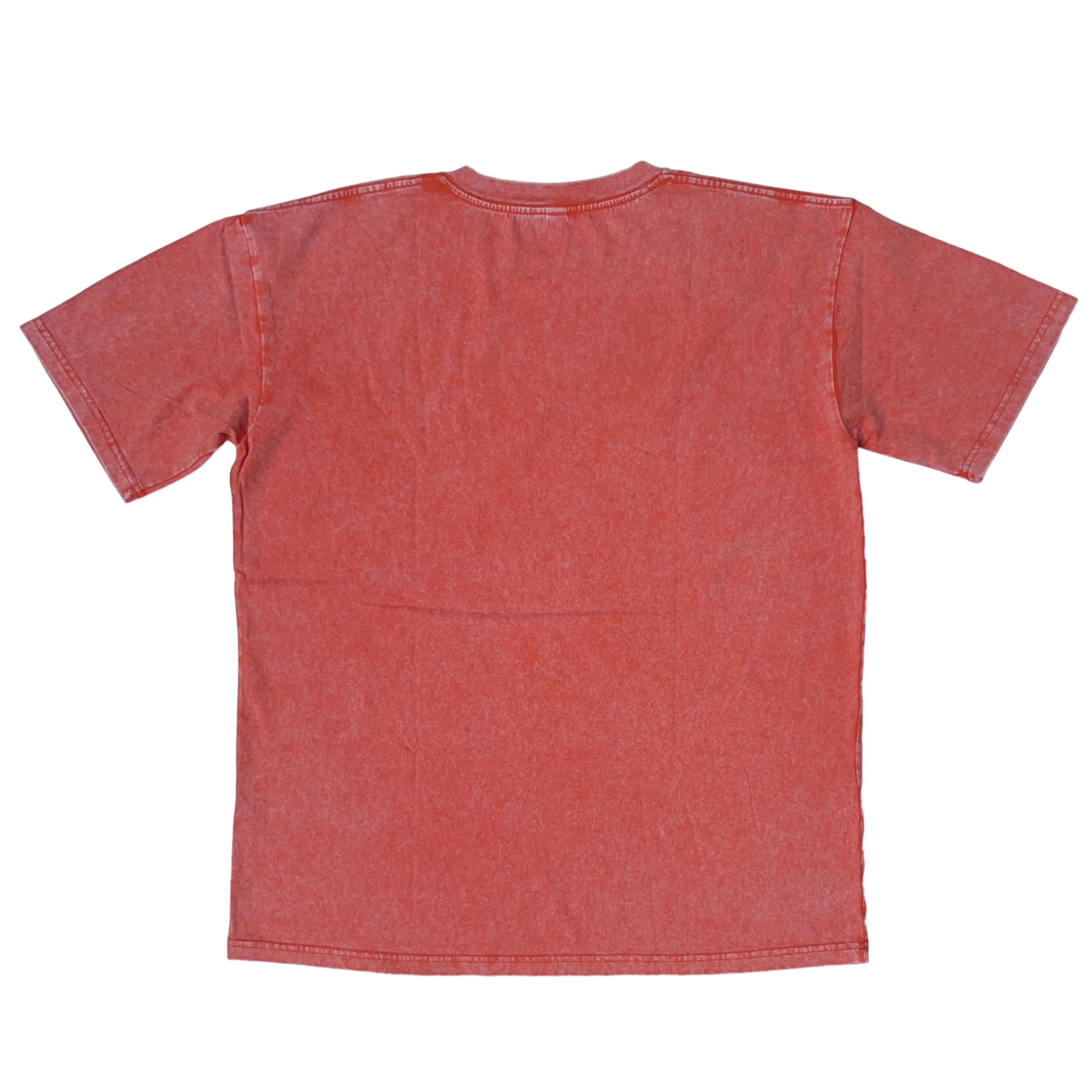 PGLTA Stone Wash T-shirt